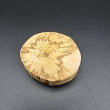 Load image into Gallery viewer, Palo Santo Wood Base (Slice) - Small
