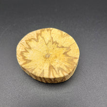 Load image into Gallery viewer, Palo Santo Wood Base (Slice) - Small
